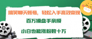 打造搞笑聊天账号：轻松入手高效变现，小白也能涨粉数十万-欢迎访问本站